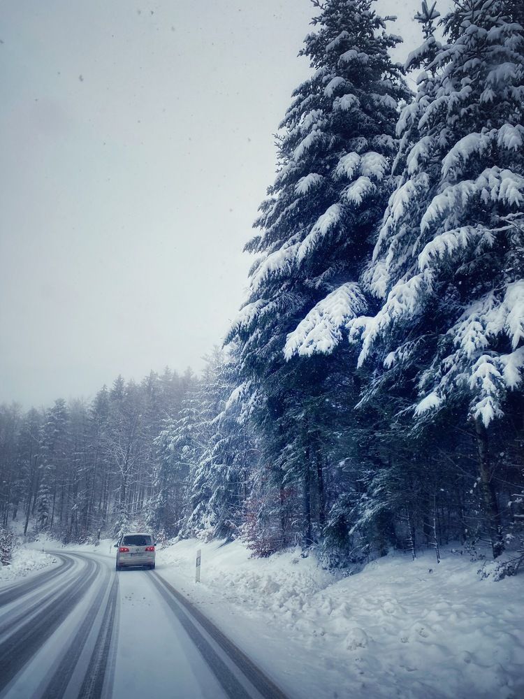 Photograph by Alexander Siemens