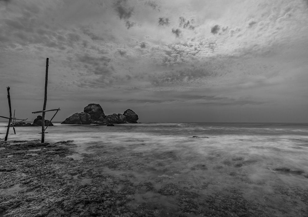 Photograph by Pouyan Safavi