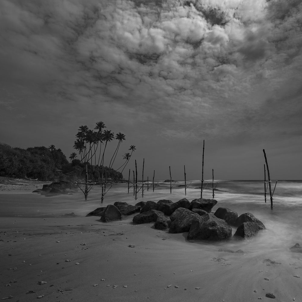 Photograph by Pouyan Safavi