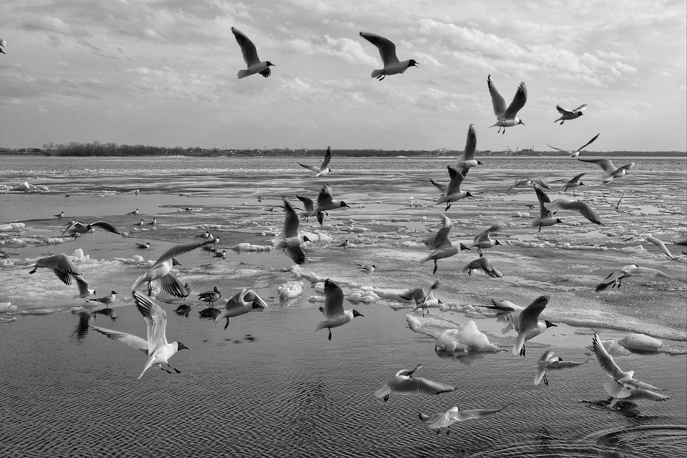 Photograph by Алла Никушкина