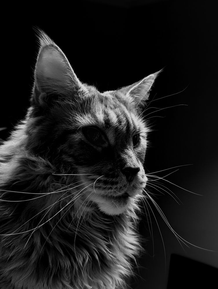 Photograph by Елизавета