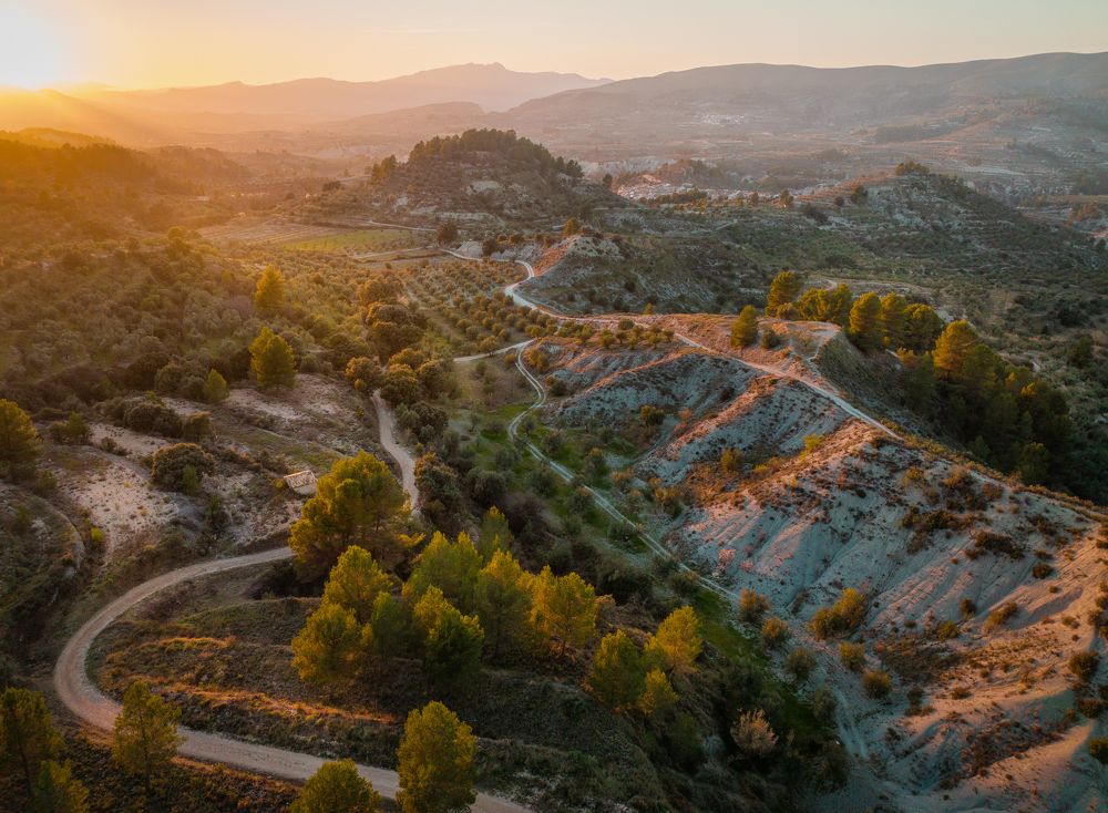 Photograph by Алекс Римский