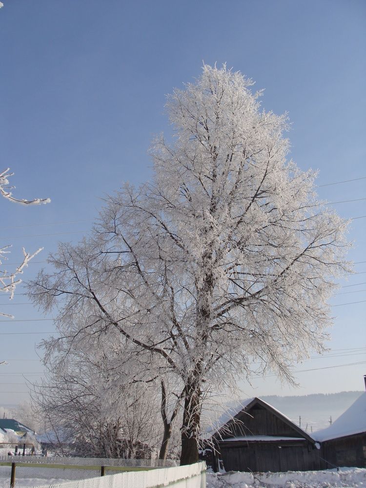 Photograph by Николай Худяков