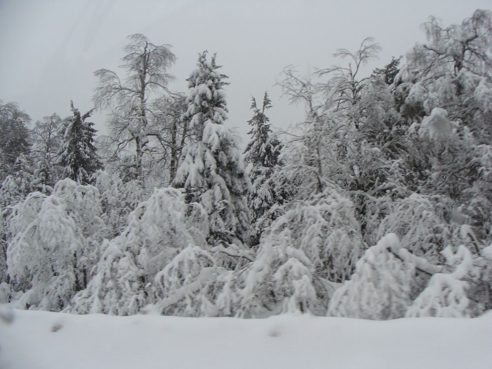 Photograph by Николай Худяков