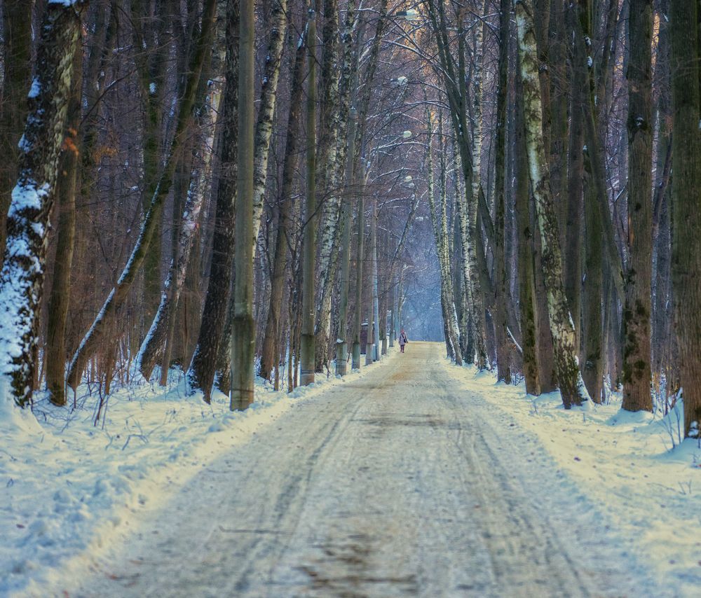 Photograph by Елена Вакумова