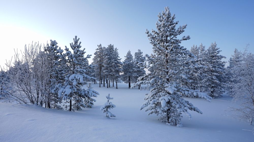 Photograph by Александр Клюев