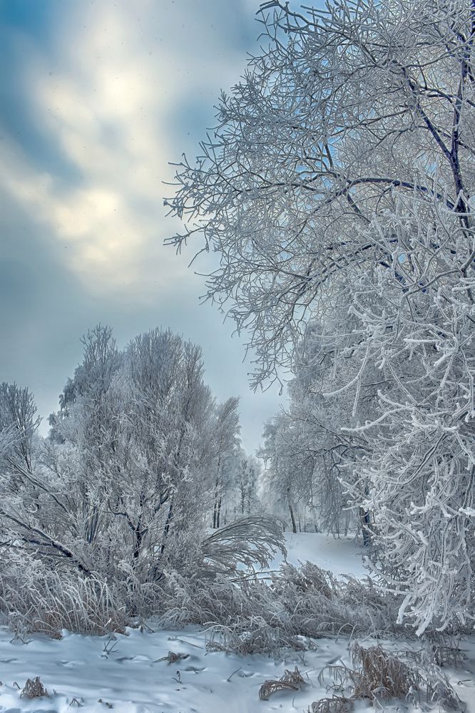 Photograph by Анна Кривицкая