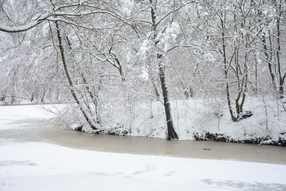 Photograph by Ольга Истомина