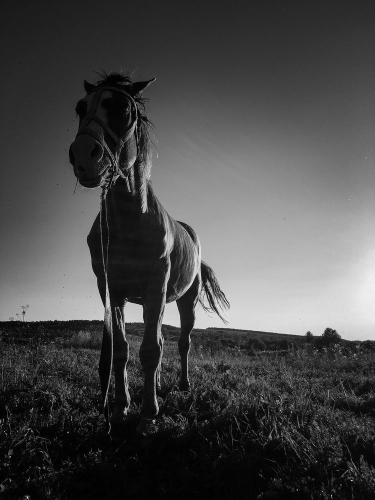 Photograph by Ольга Цветцих