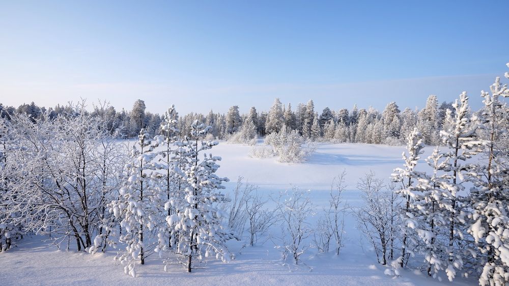 Photograph by Александр Клюев