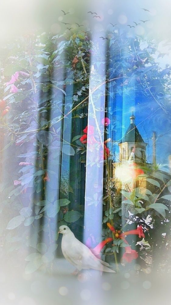 Photograph by Алла Холодова