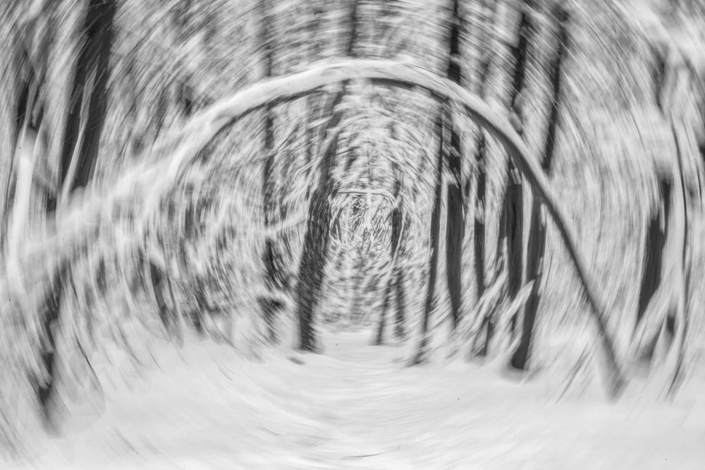 Photograph by Константин Кукушкин