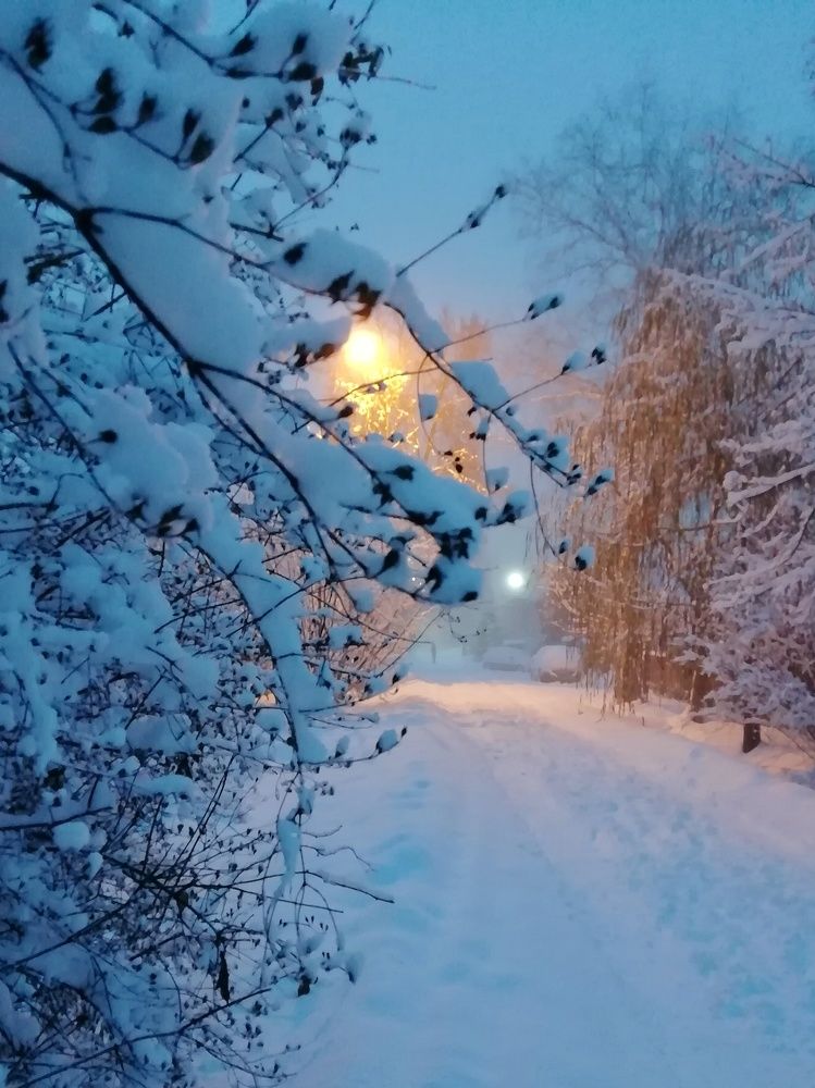 Photograph by Екатерина Чижевская