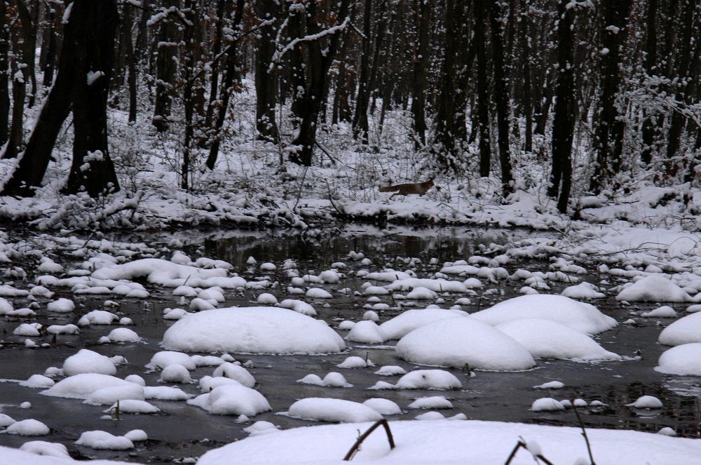 Photograph by Muzaffer Sütlüoğlu