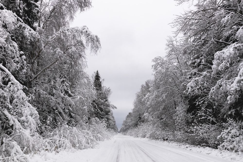 Фотография автора Татьяна Степанова