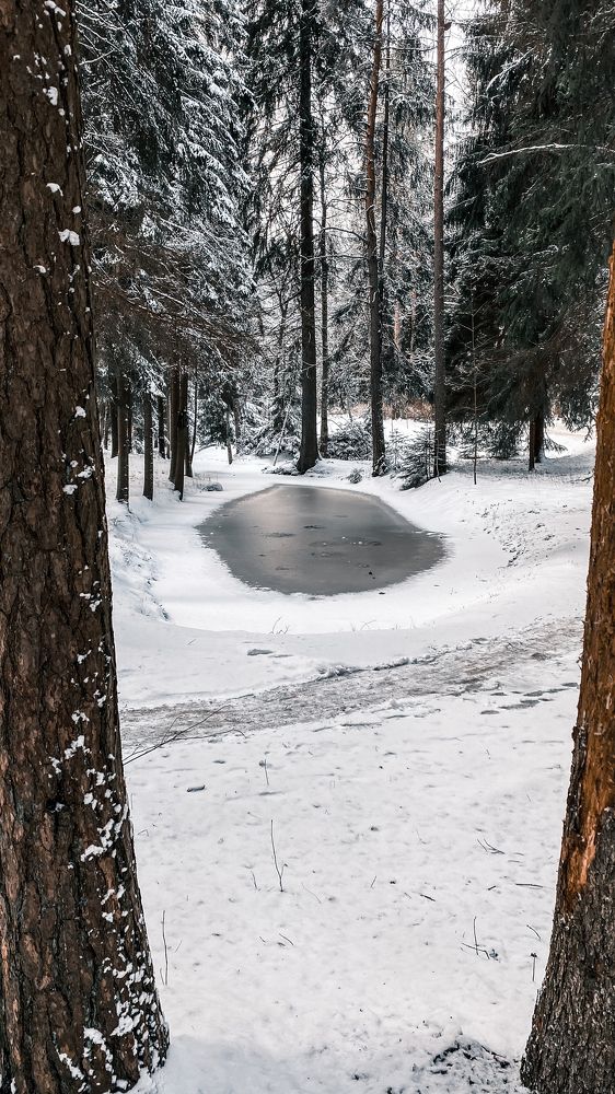 Photograph by Екатерина Балакина