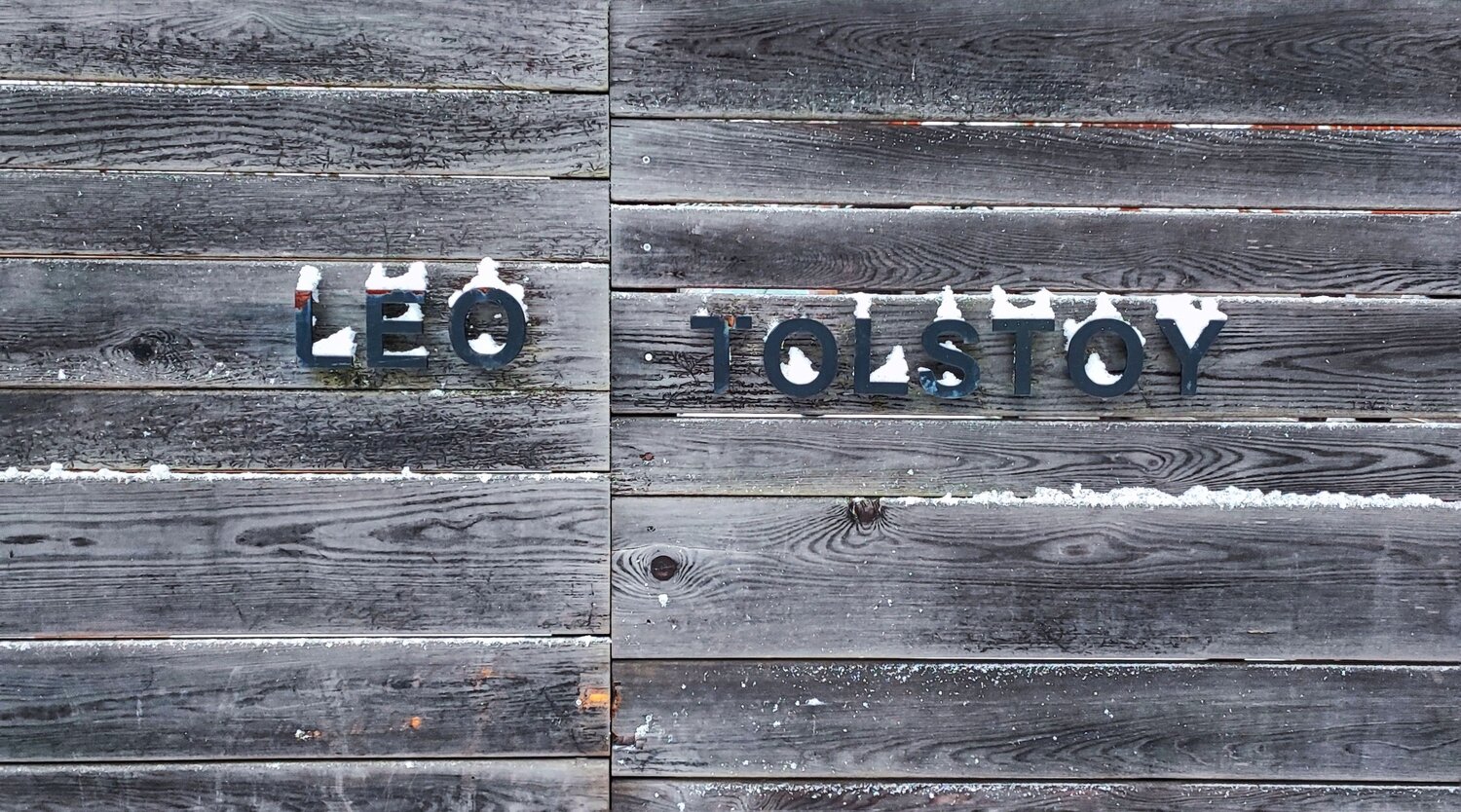 Photo #8520688
