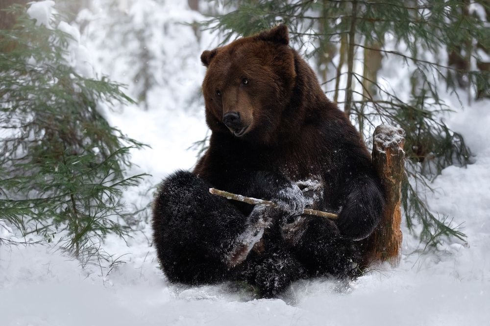 Photograph by Светлана Писарева