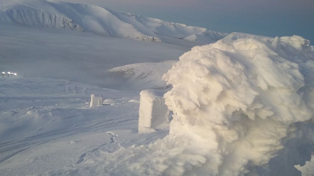 Photograph by Алексей Пантелеев