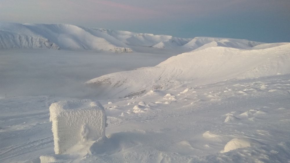 Photograph by Алексей Пантелеев