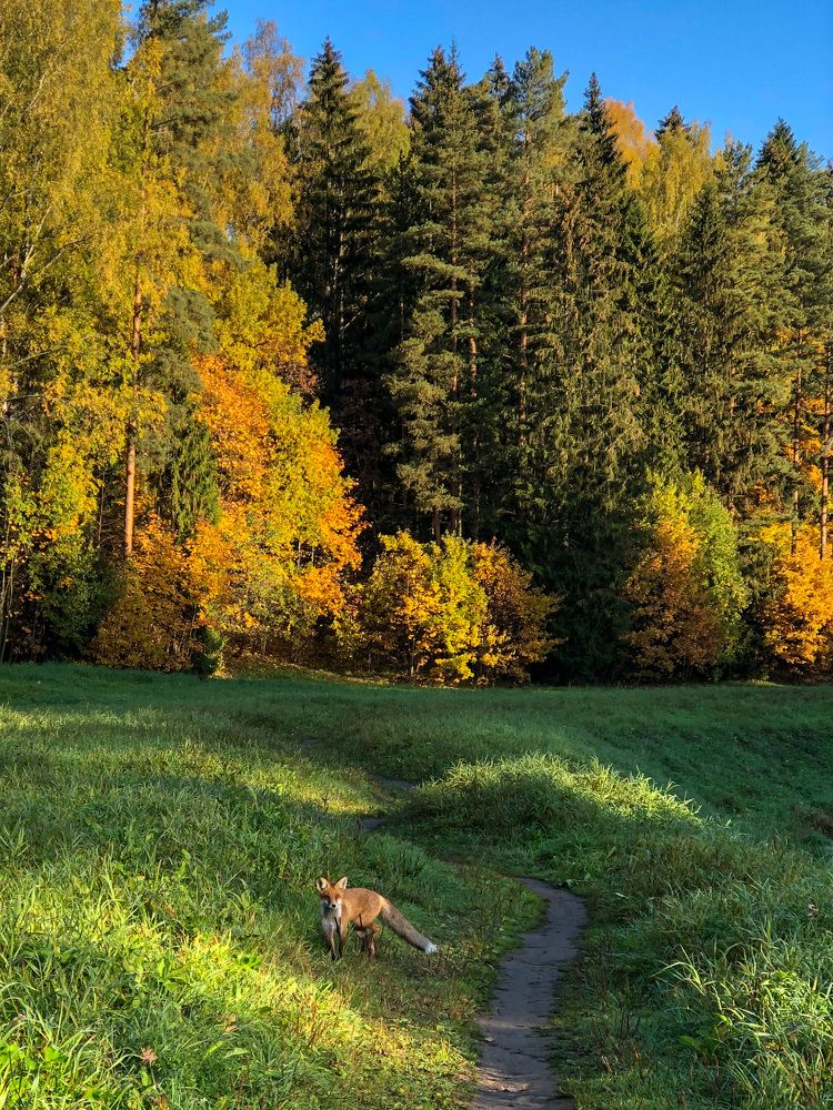 Фотография автора Сергей Ефимов