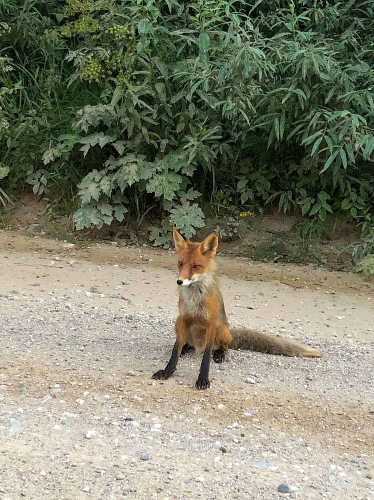 Фотография автора Сергей Ефимов