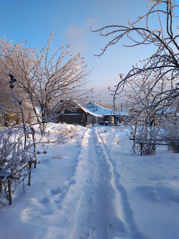 Photograph by Лилия Мустафина