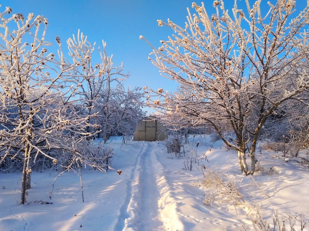 Photograph by Лилия Мустафина