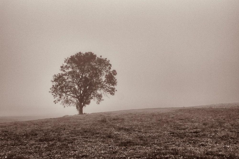 Photograph by Lyudmila Klimanova