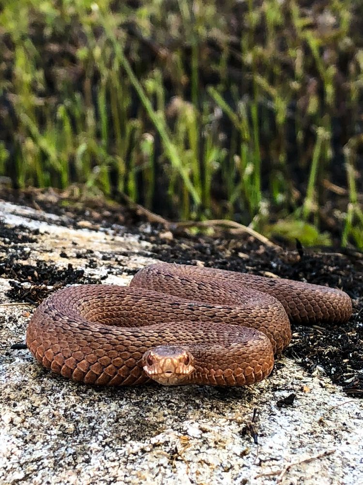 Фотография автора Сергей Ефимов