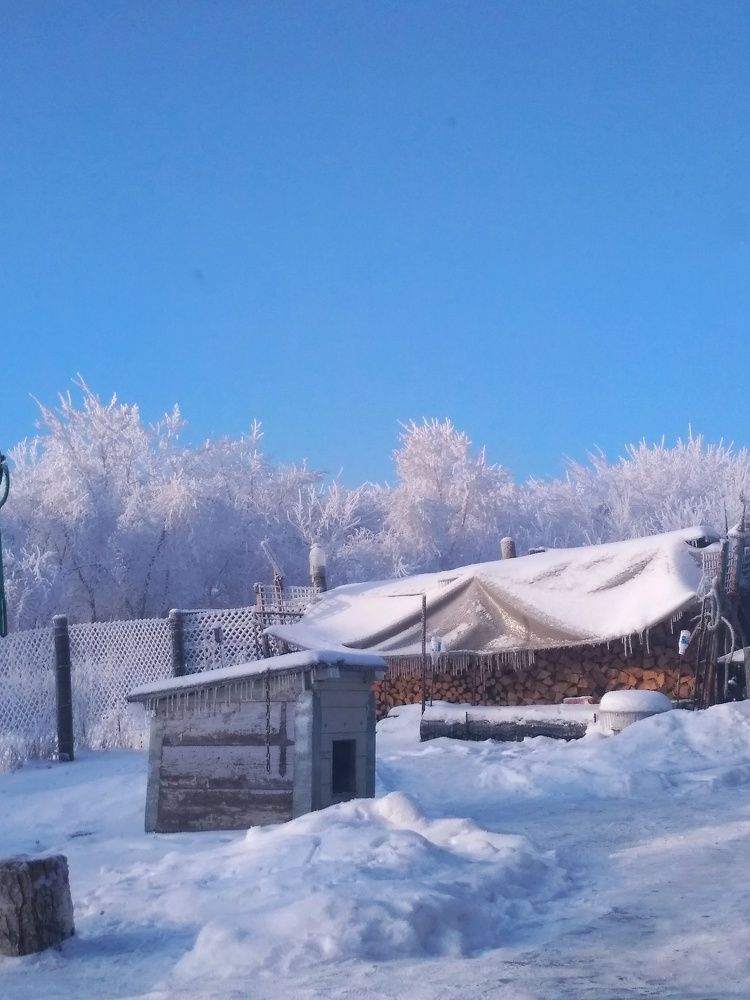 Photograph by Лилия Мустафина