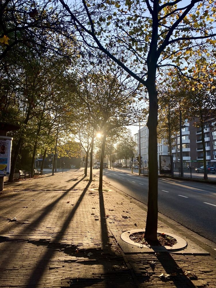 Photograph by Анастасия Тирская