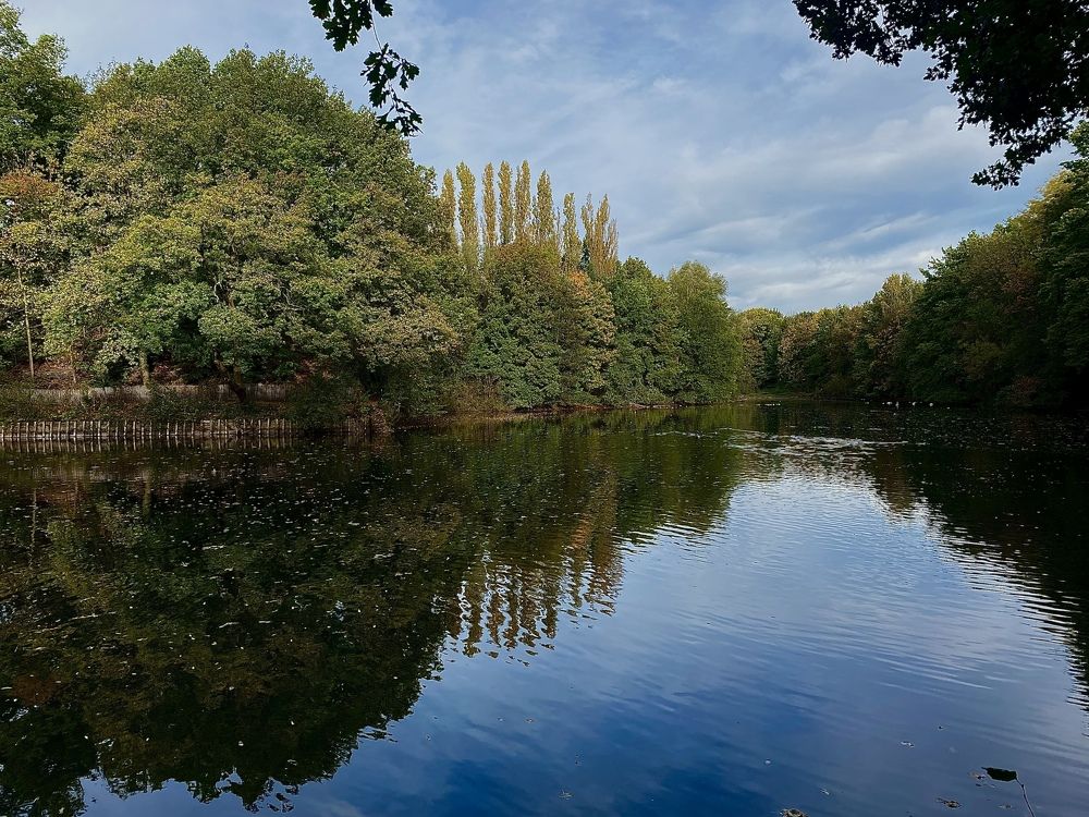 Photograph by Анастасия Тирская