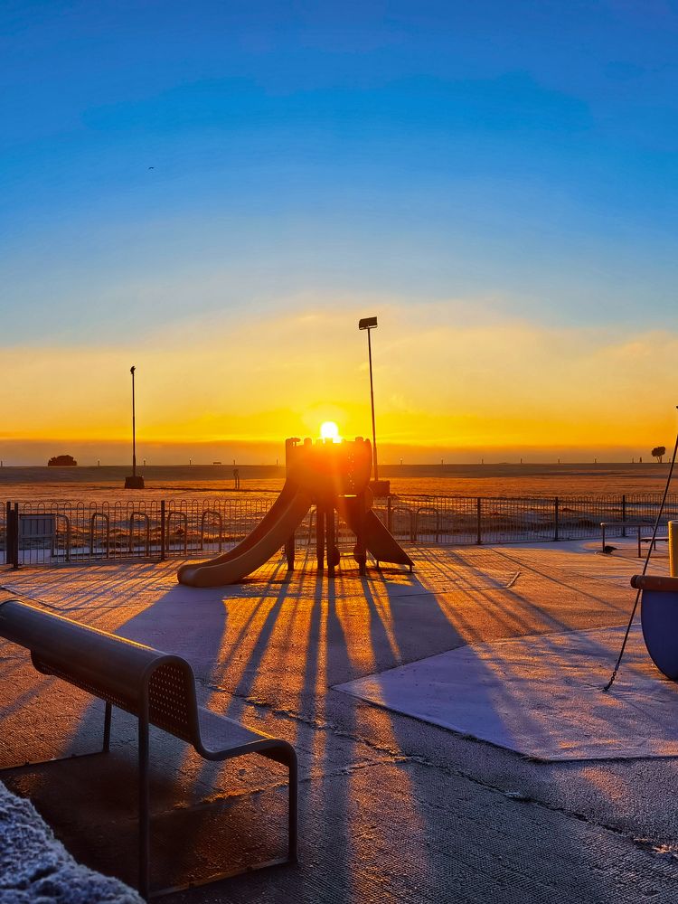 Photograph by Michael Deligan