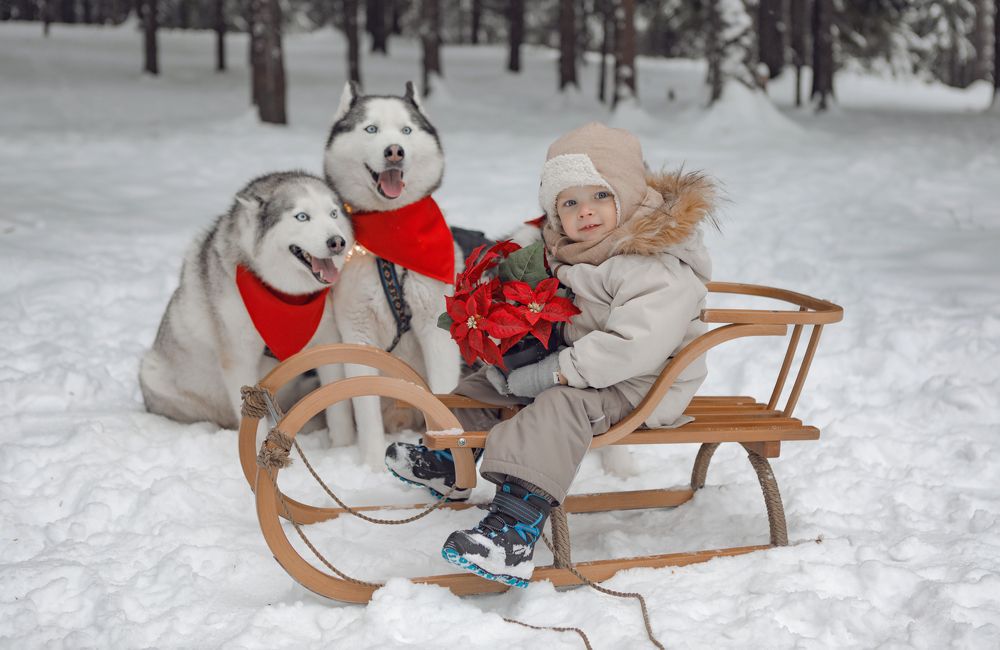 Photograph by Мила Гусева