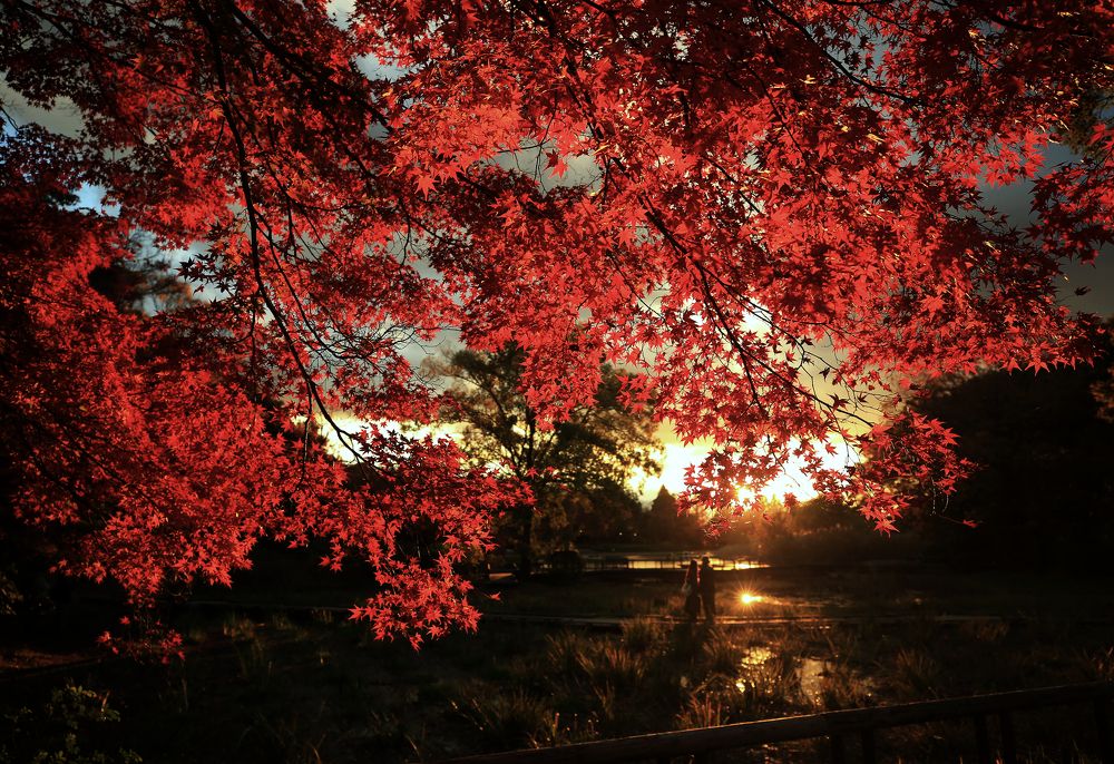 Фотография автора Nikolay Suglobov