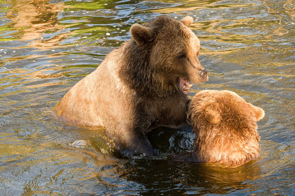 Фотография автора Julia A Caesar