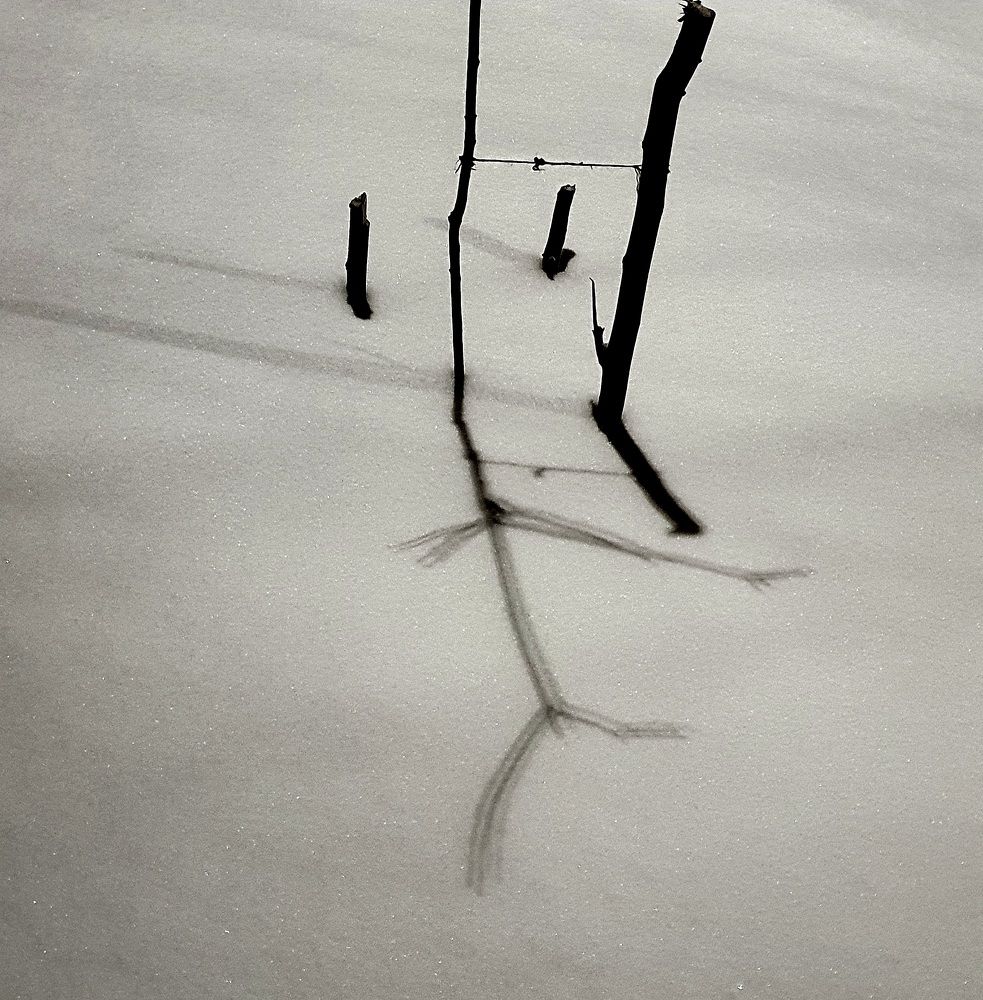 Photograph by Яна Галимуллина