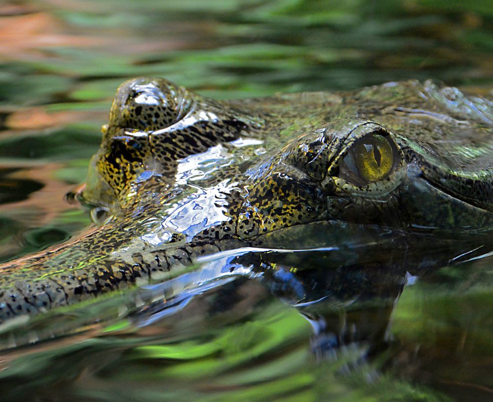 Photograph by Mirza Cengic