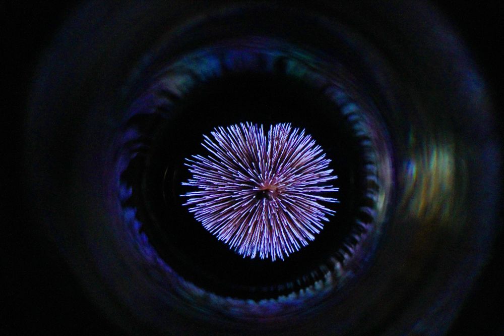 Фотография автора César Carrion