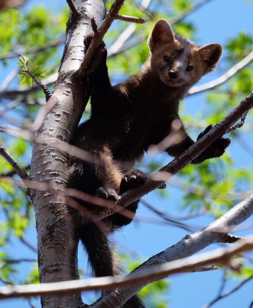 Photograph by Яна Бойко