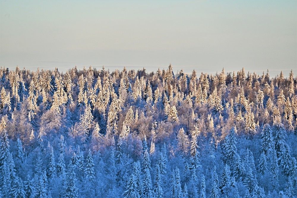 Photograph by Сергей Зубов