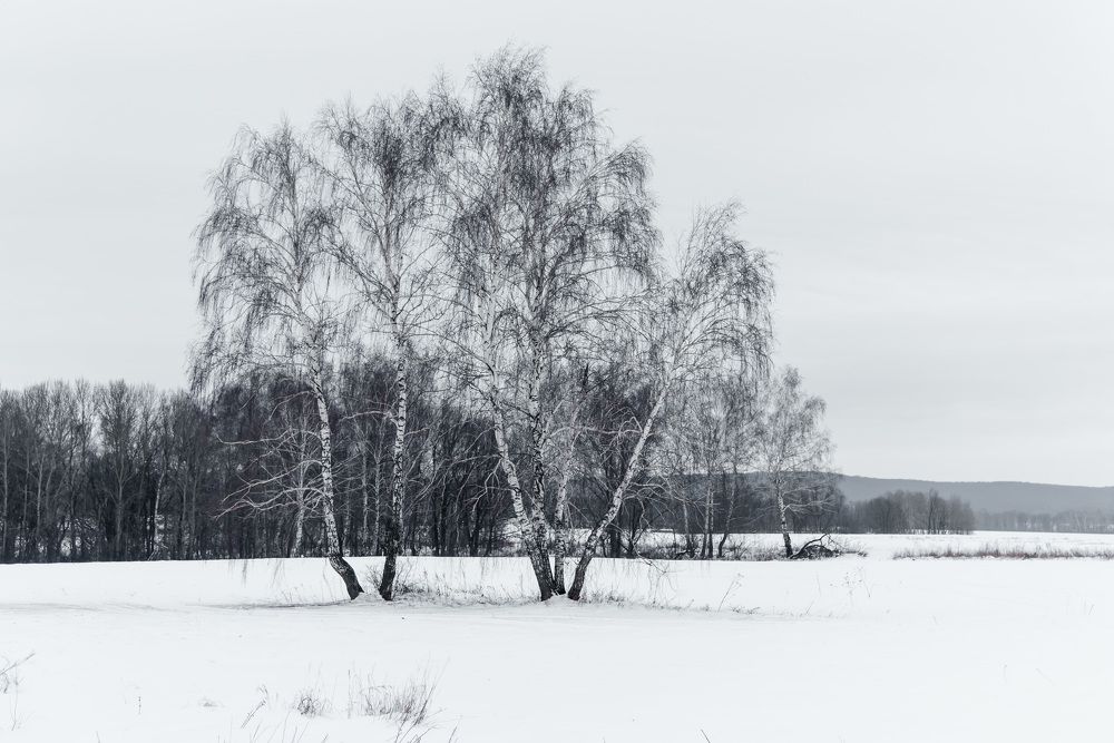 Photograph by Татьяна Биргулиева