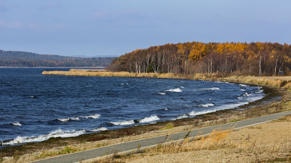 Фотография автора Владимир