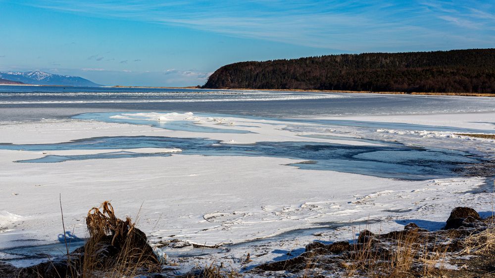 Фотография автора Владимир