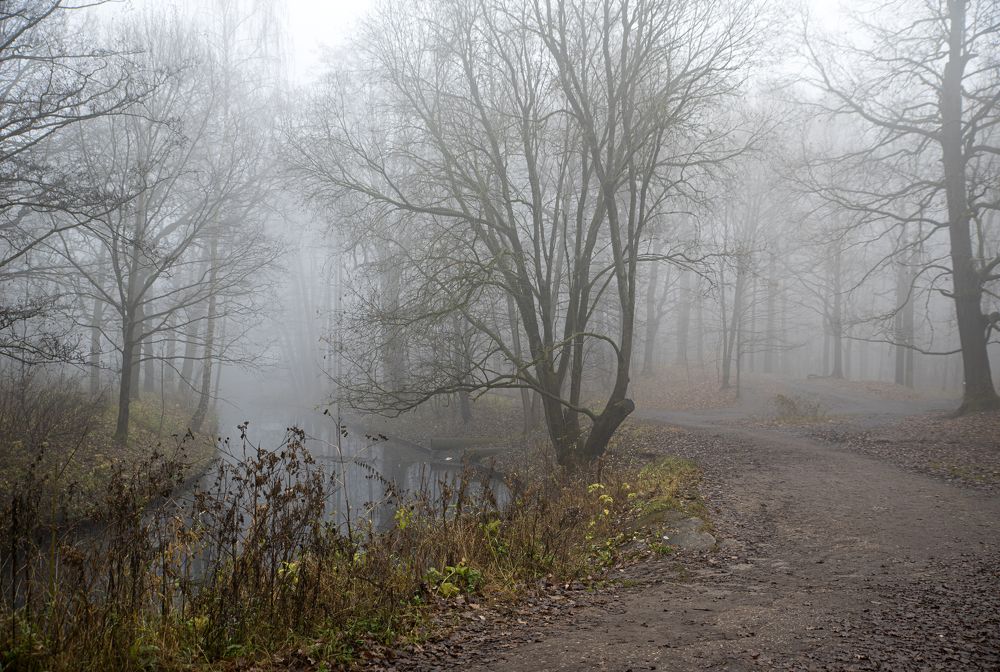 Photograph by Anatoly Lunov