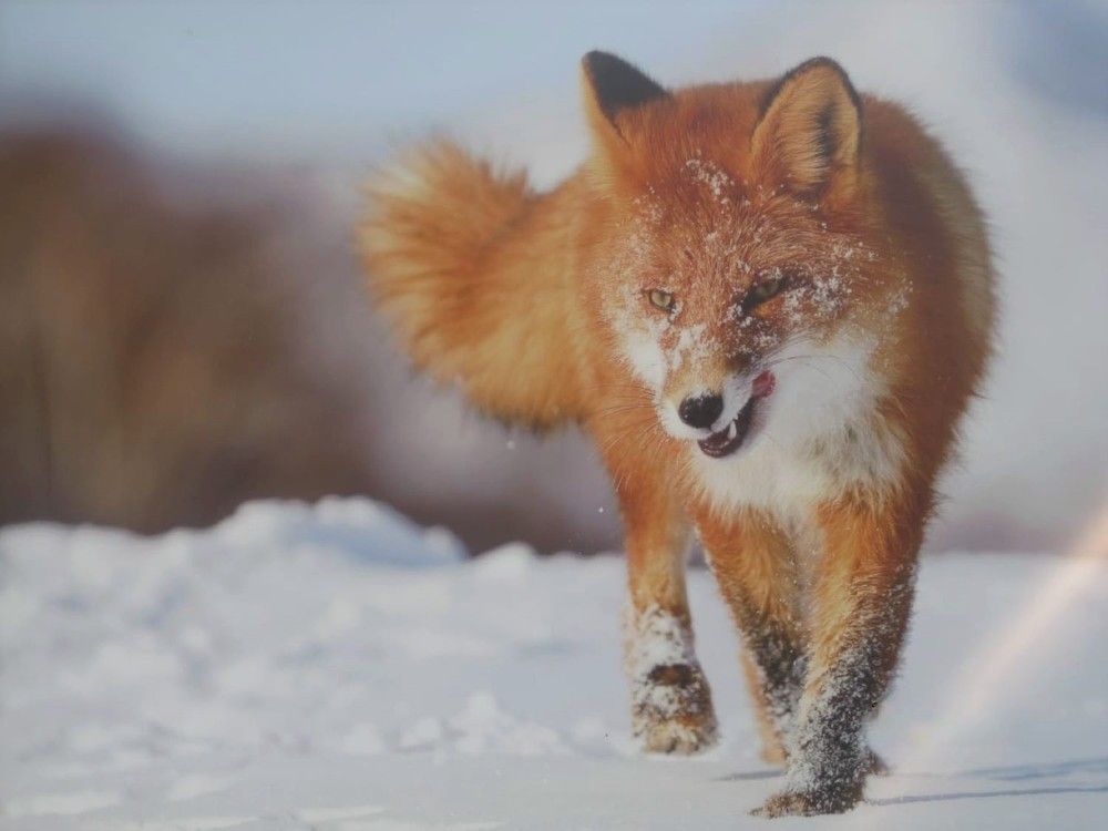 Photograph by Екатерина Шарун