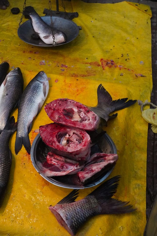 Photograph by Priyanka Sharmas