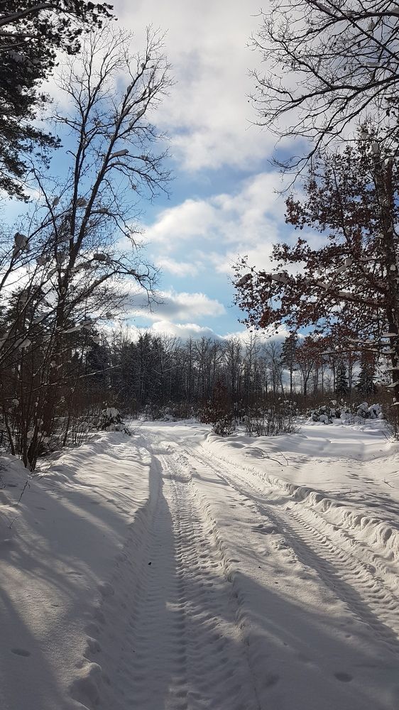 Photograph by Екатерина Николаева