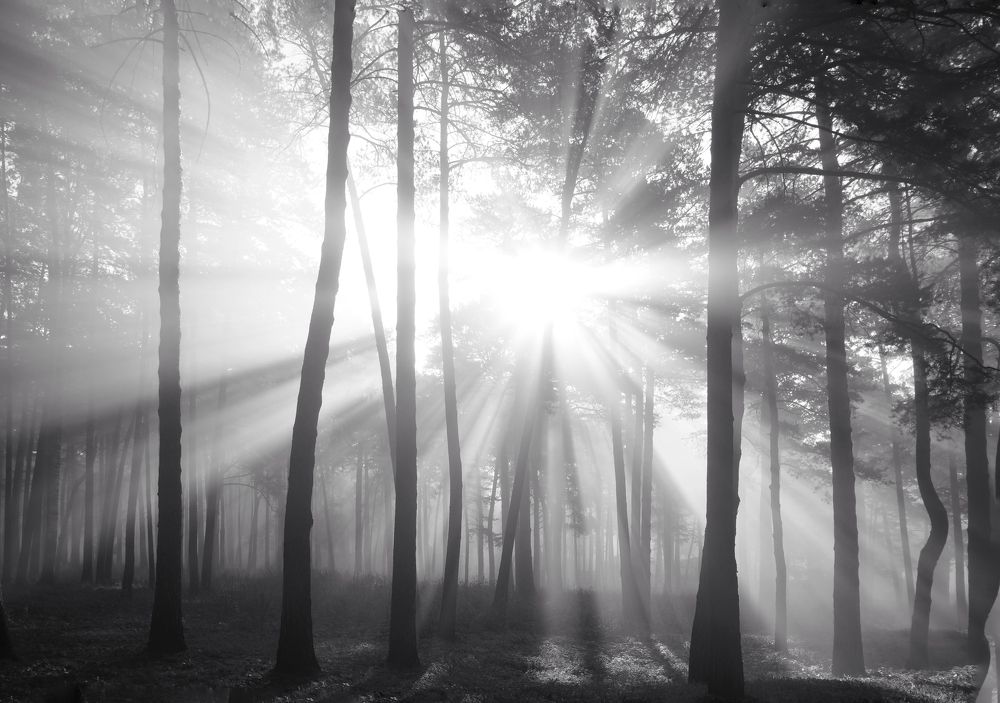 Photograph by Юрий Гау